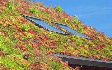 Fawney living roof systems