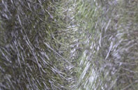 Fawney fibreglass roof work